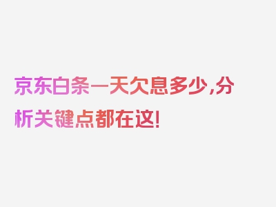 京东白条一天欠息多少，分析关键点都在这！