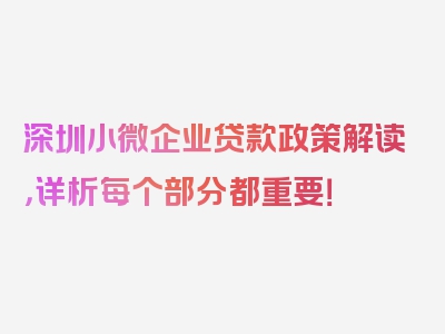 深圳小微企业贷款政策解读，详析每个部分都重要！