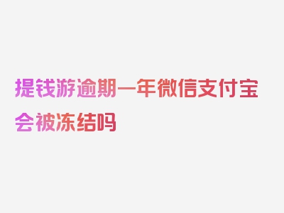 提钱游逾期一年微信支付宝会被冻结吗