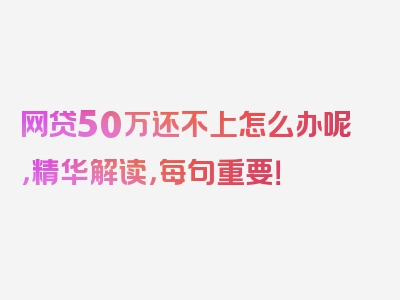 网贷50万还不上怎么办呢，精华解读，每句重要！