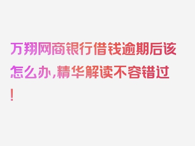 万翔网商银行借钱逾期后该怎么办，精华解读不容错过！