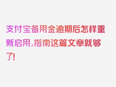 支付宝备用金逾期后怎样重新启用，指南这篇文章就够了！