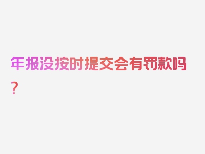 年报没按时提交会有罚款吗？