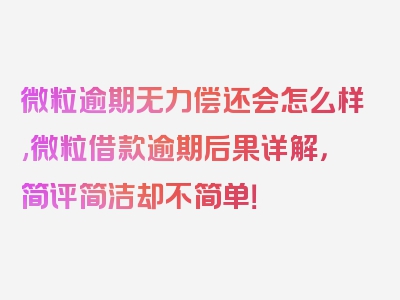 微粒逾期无力偿还会怎么样,微粒借款逾期后果详解，简评简洁却不简单！