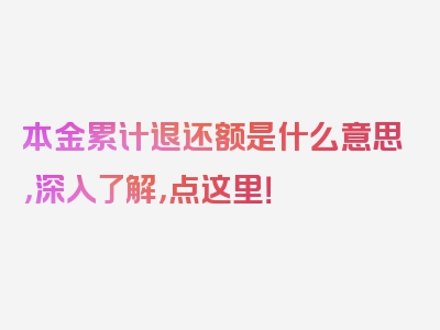 本金累计退还额是什么意思，深入了解，点这里！