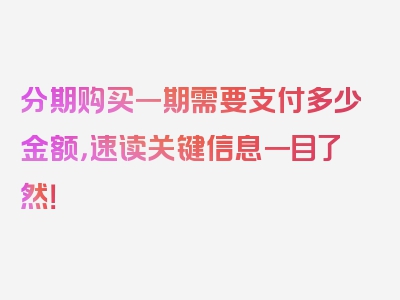 分期购买一期需要支付多少金额，速读关键信息一目了然！