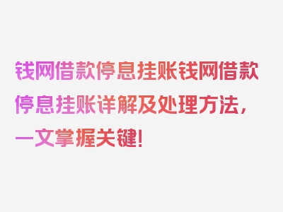 钱网借款停息挂账钱网借款停息挂账详解及处理方法，一文掌握关键！