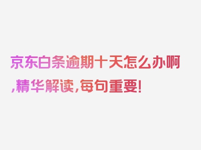 京东白条逾期十天怎么办啊，精华解读，每句重要！