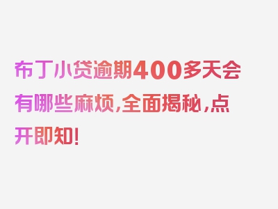 布丁小贷逾期400多天会有哪些麻烦，全面揭秘，点开即知！