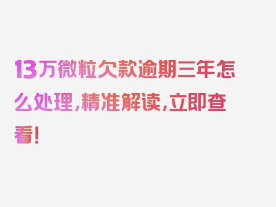 13万微粒欠款逾期三年怎么处理，精准解读，立即查看！