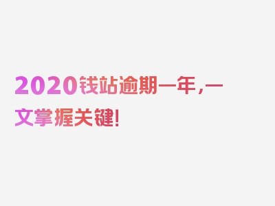 2020钱站逾期一年，一文掌握关键！