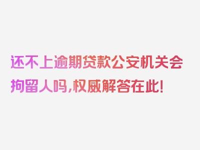 还不上逾期贷款公安机关会拘留人吗，权威解答在此！