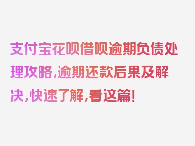 支付宝花呗借呗逾期负债处理攻略,逾期还款后果及解决，快速了解，看这篇！