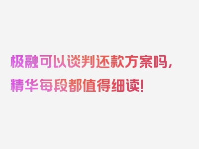 极融可以谈判还款方案吗，精华每段都值得细读！