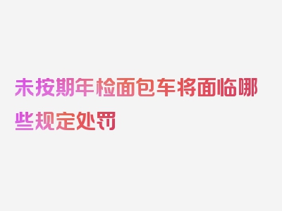 未按期年检面包车将面临哪些规定处罚