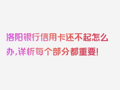 洛阳银行信用卡还不起怎么办，详析每个部分都重要！