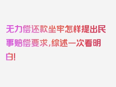 无力偿还款坐牢怎样提出民事赔偿要求，综述一次看明白！