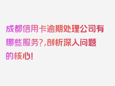 成都信用卡逾期处理公司有哪些服务?，剖析深入问题的核心！