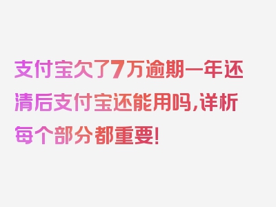 支付宝欠了7万逾期一年还清后支付宝还能用吗，详析每个部分都重要！