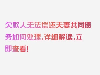 欠款人无法偿还夫妻共同债务如何处理，详细解读，立即查看！