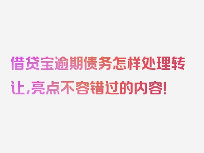 借贷宝逾期债务怎样处理转让，亮点不容错过的内容！