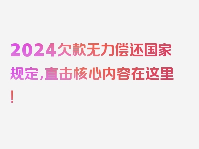 2024欠款无力偿还国家规定，直击核心内容在这里！