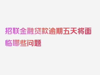 招联金融贷款逾期五天将面临哪些问题