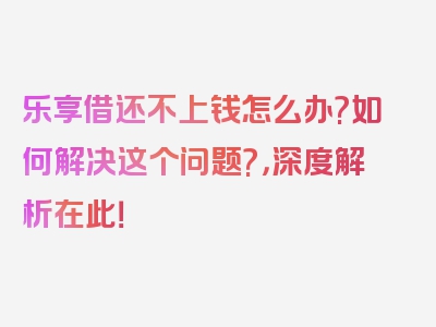 乐享借还不上钱怎么办?如何解决这个问题?，深度解析在此！