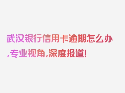 武汉银行信用卡逾期怎么办，专业视角，深度报道！