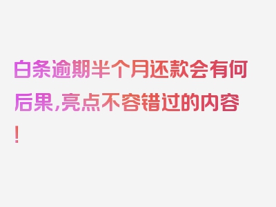 白条逾期半个月还款会有何后果，亮点不容错过的内容！