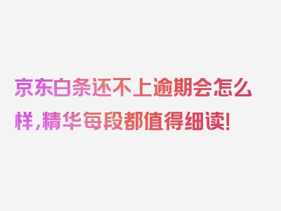 京东白条还不上逾期会怎么样，精华每段都值得细读！