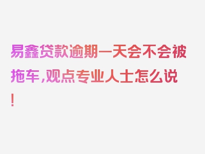 易鑫贷款逾期一天会不会被拖车，观点专业人士怎么说！