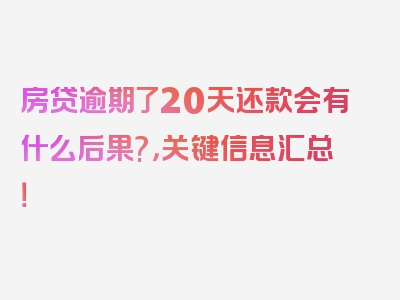 房贷逾期了20天还款会有什么后果?，关键信息汇总！