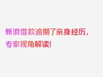 新浪借款逾期了亲身经历，专家视角解读！