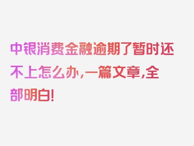 中银消费金融逾期了暂时还不上怎么办，一篇文章，全部明白！