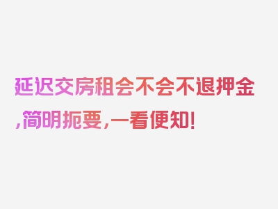 延迟交房租会不会不退押金，简明扼要，一看便知！