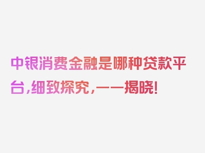 中银消费金融是哪种贷款平台，细致探究，一一揭晓！