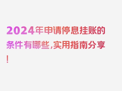 2024年申请停息挂账的条件有哪些，实用指南分享！