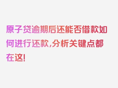 原子贷逾期后还能否借款如何进行还款，分析关键点都在这！