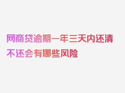 网商贷逾期一年三天内还清不还会有哪些风险