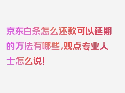 京东白条怎么还款可以延期的方法有哪些，观点专业人士怎么说！