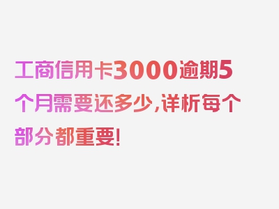 工商信用卡3000逾期5个月需要还多少，详析每个部分都重要！