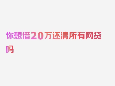 你想借20万还清所有网贷吗