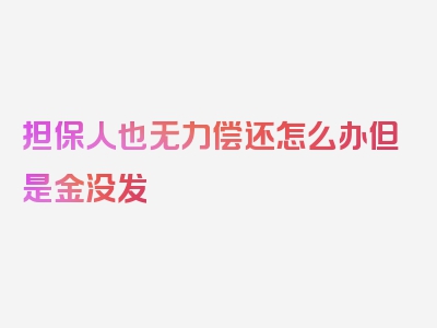 担保人也无力偿还怎么办但是金没发