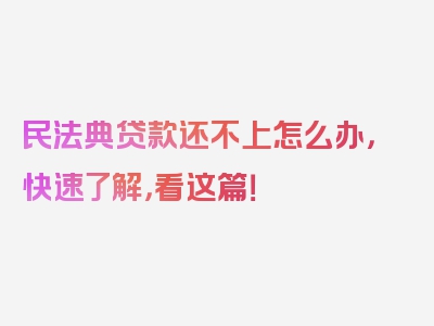 民法典贷款还不上怎么办，快速了解，看这篇！