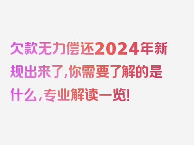 欠款无力偿还2024年新规出来了,你需要了解的是什么，专业解读一览！