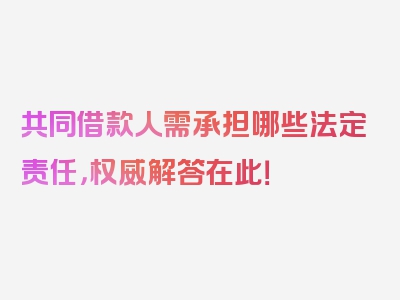 共同借款人需承担哪些法定责任，权威解答在此！