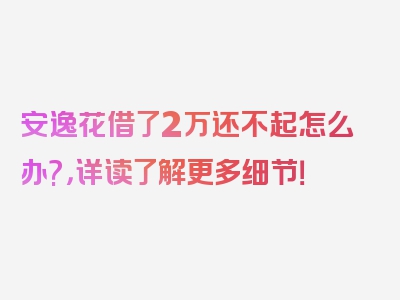 安逸花借了2万还不起怎么办?，详读了解更多细节！