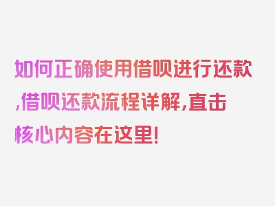 如何正确使用借呗进行还款,借呗还款流程详解，直击核心内容在这里！