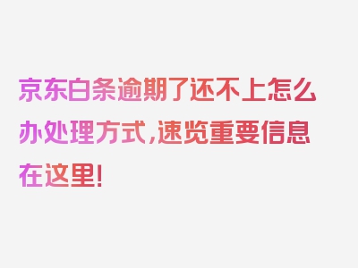 京东白条逾期了还不上怎么办处理方式，速览重要信息在这里！